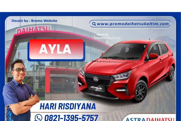 ALL NEW AYLA